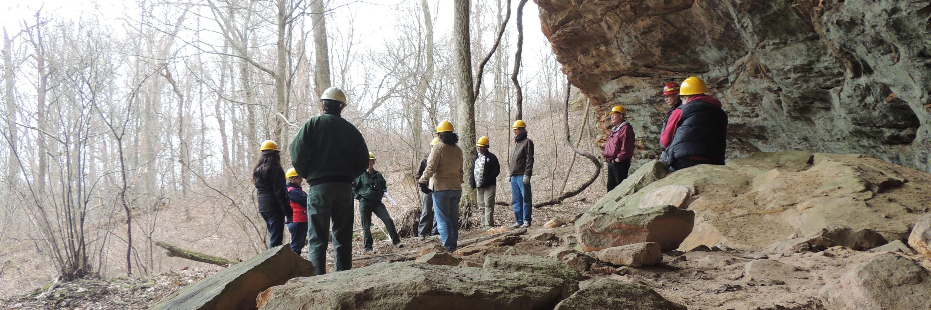 Class of students observing trees in the field